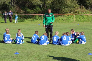 开云入口-替补席能否发挥稳定战术执行能力影响赛季后期，替补席是什么意思